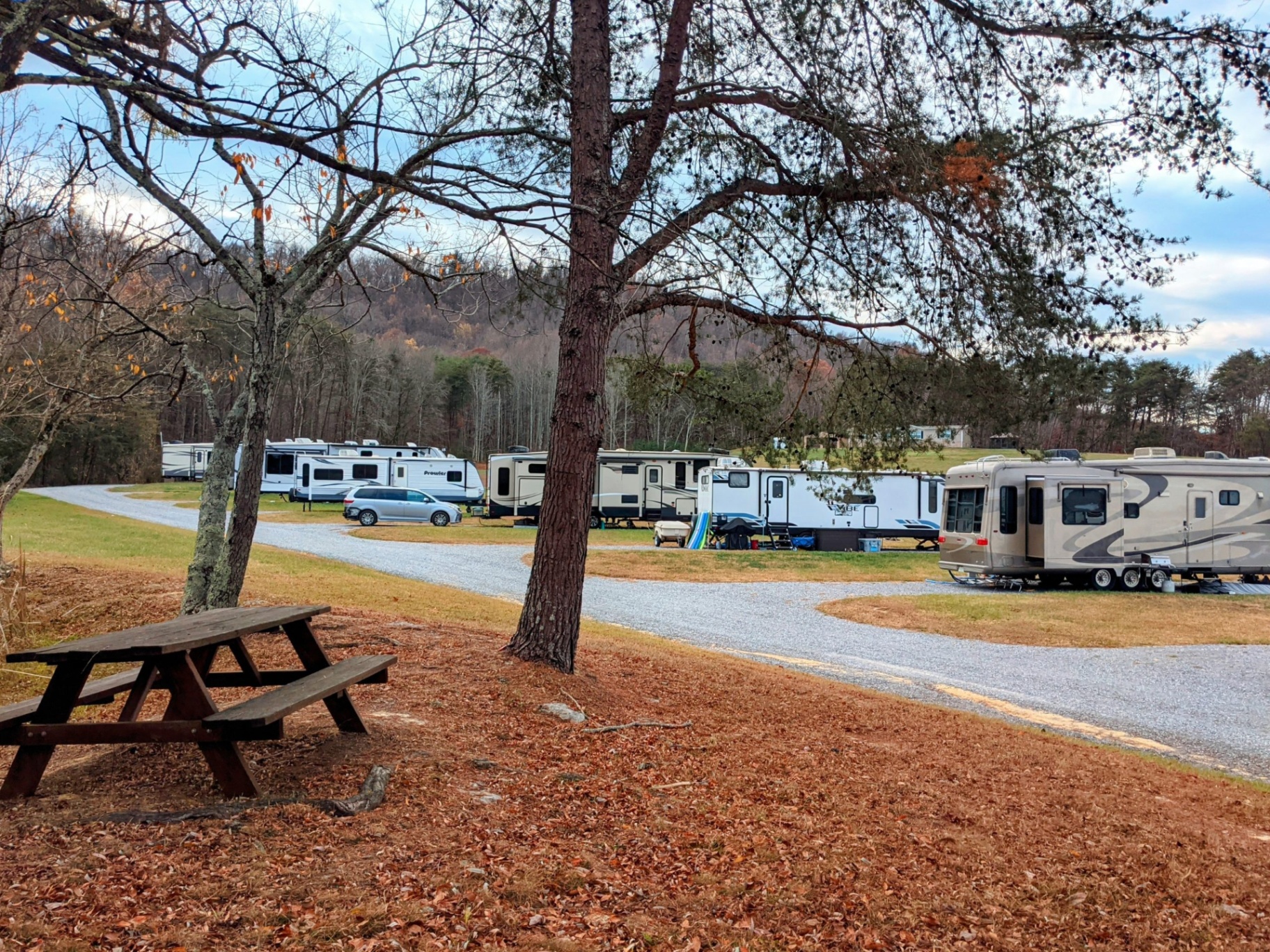 Picnic area among the trees